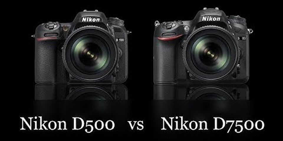 Nikon d500 d7500 vergleich