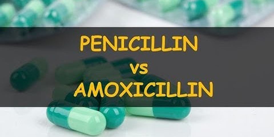 Unterschied zwischen amoxicillin und amoxicillin
