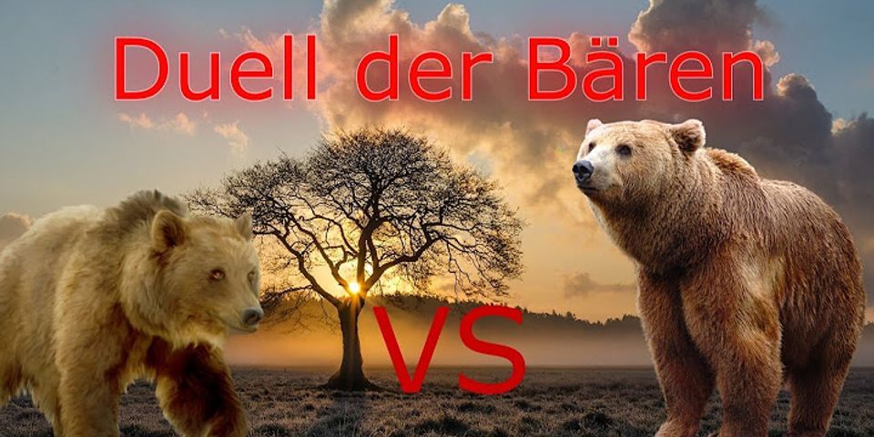 Unterschied zwischen grizzly und kodiakbär