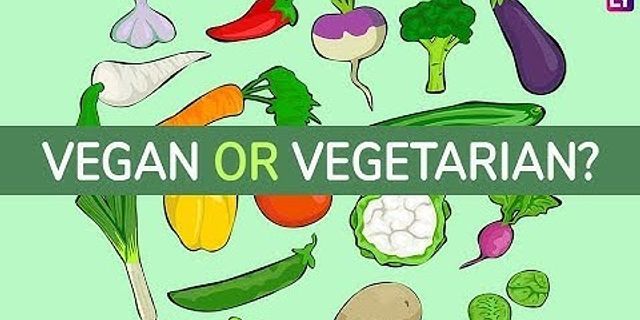Was ist der unterschied zwischen vegan und veger