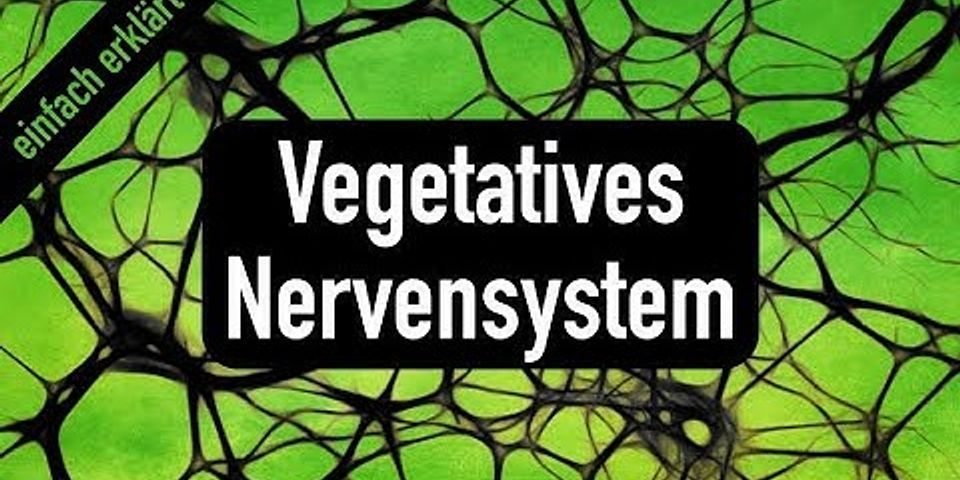 Welche aufgaben hat das vegetative nervensystem