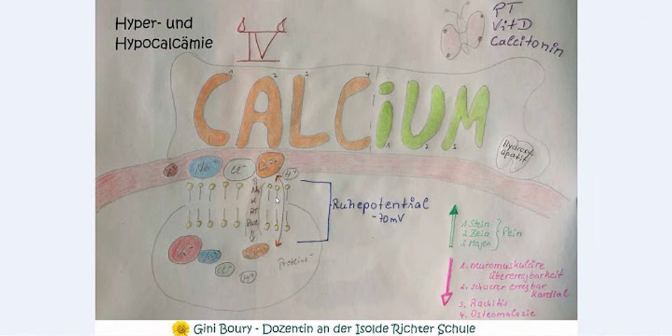 Welche funktion hat calcium im menschlichen körper