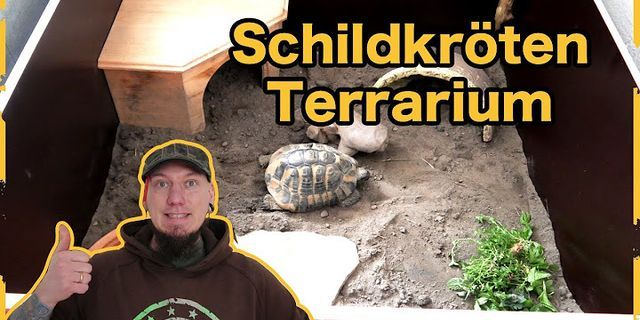 Welche schildkröte kann man im terrarium halten