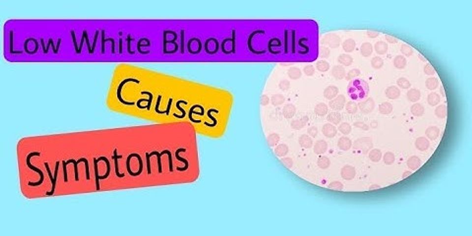 What Are The Symptoms Of Low White Blood Cell Count