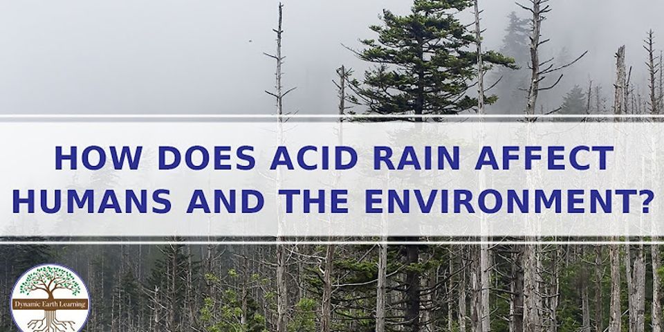 What are two ways that acid rain affects the environment