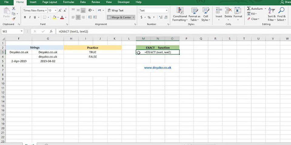 What does the exact () function in Excel do?