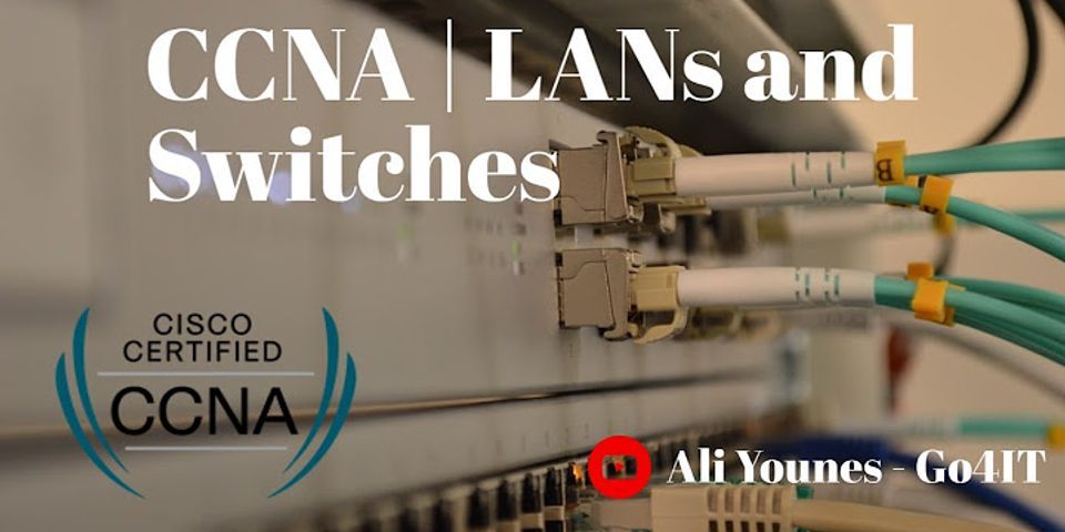 Which two special characteristics do LAN switches use to alleviate network congestion? (Choose two)