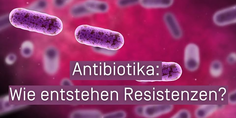 Wie wirkt sich Antibiotika auf den Körper aus?
